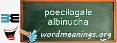 WordMeaning blackboard for poecilogale albinucha